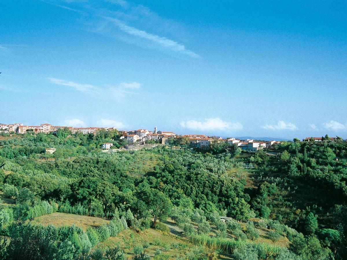 Locazione Turistica Podere la Quercia Riparbella Esterno foto