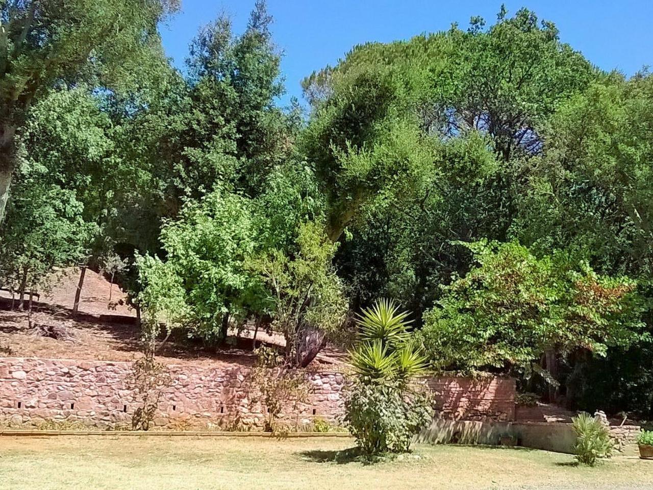 Locazione Turistica Podere la Quercia Riparbella Esterno foto